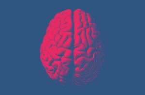 A pink, stylized illustration of a human brain viewed from above, set against a solid blue background.